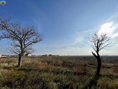 Дом, Чорноморка, Люстдорфська дорога, Київський, Одеса