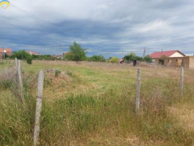 Земля 10 сот., Нова Долина, Одеський (Овідіопольський)