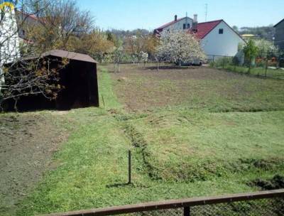 Земля 10 сот., Нерубайське, Одеський (Біляївський)