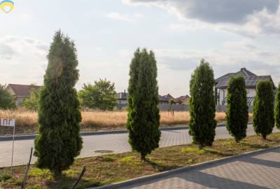 Земля 10 сот., Совіньйон, Одеський (Овідіопольський)